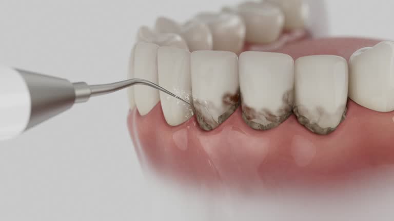 Reliable Dental contractor in Harrodsburg, KY by Dentist Open Now